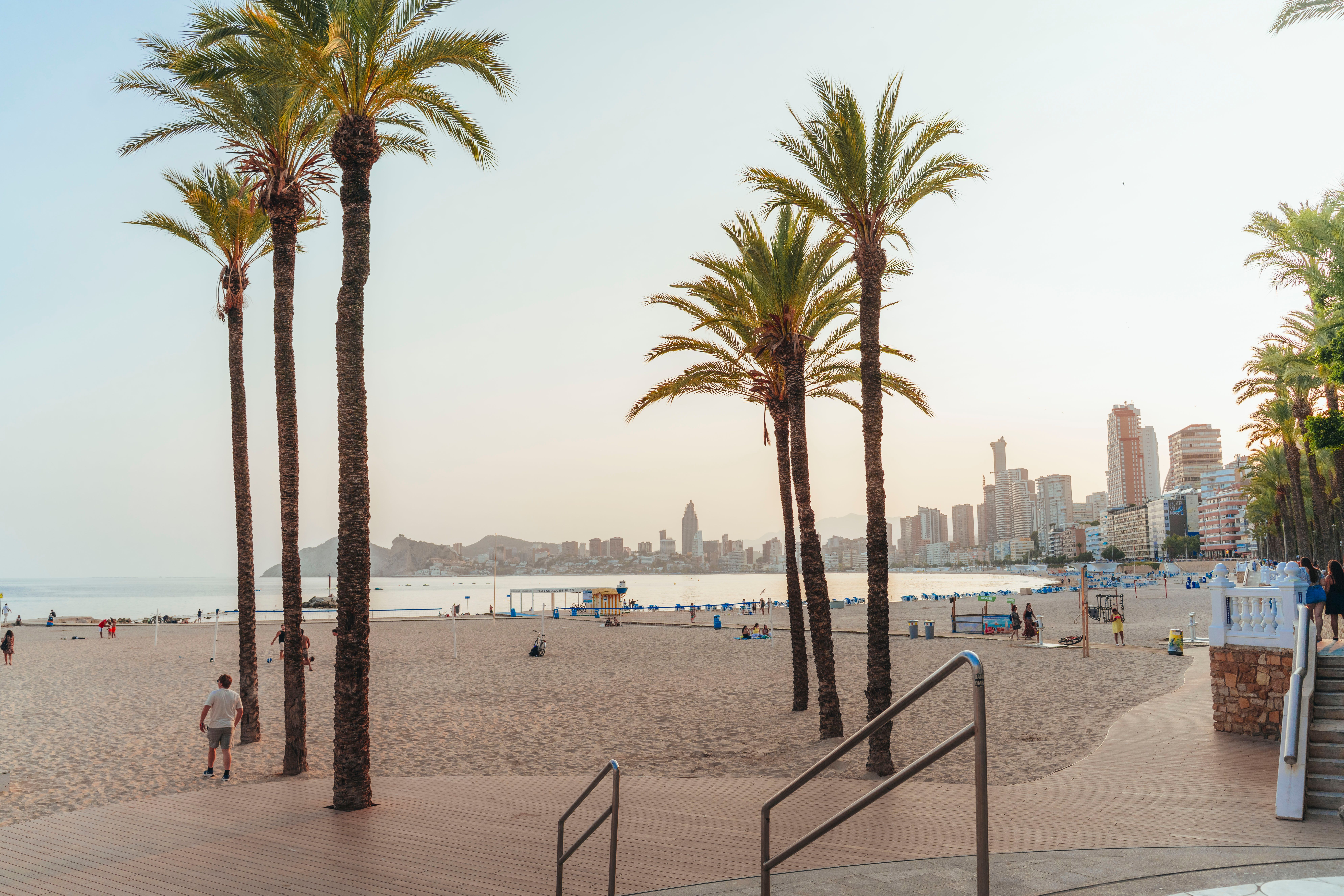 A picturesque view of Benidorm beach with palm trees and city skyline during sunset.